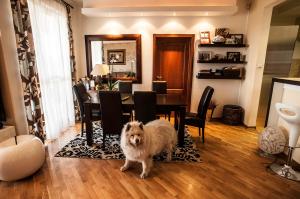 trpezarija-enterijer-klasican